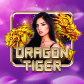 Dragon Tiger at Olx 786 Vvip
